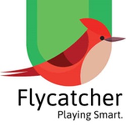 Flycatcher Toys